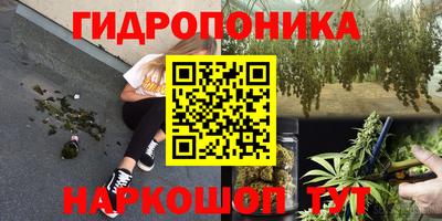 дмт Бийск