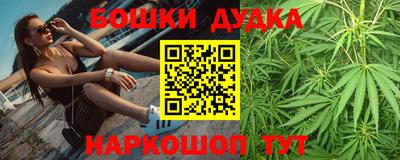 дмт Бийск