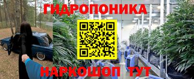дмт Бийск