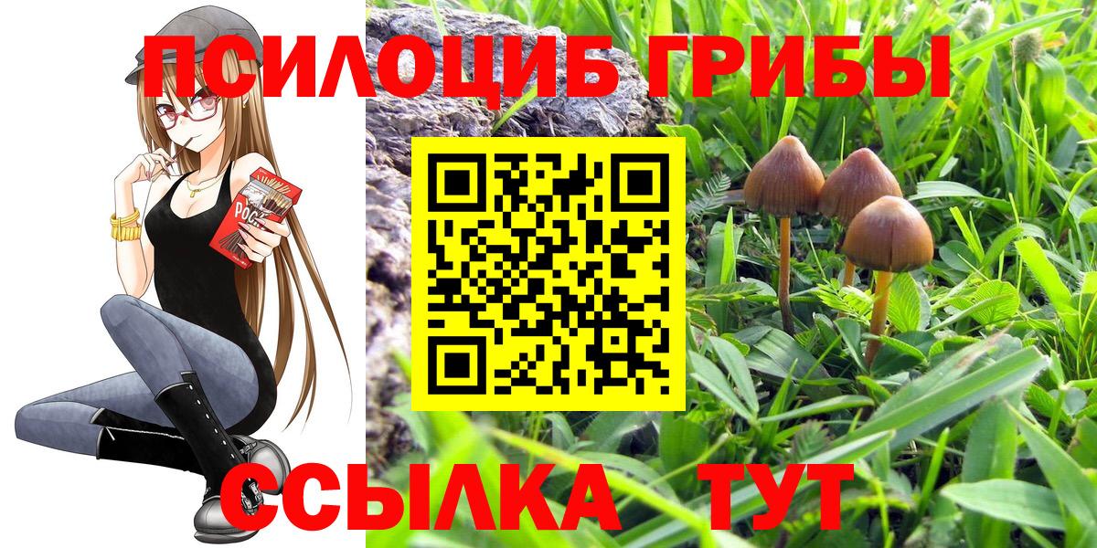 Псилоцибиновые грибы ЛСД  купить наркоту  Бузулук  Вход с VPN 